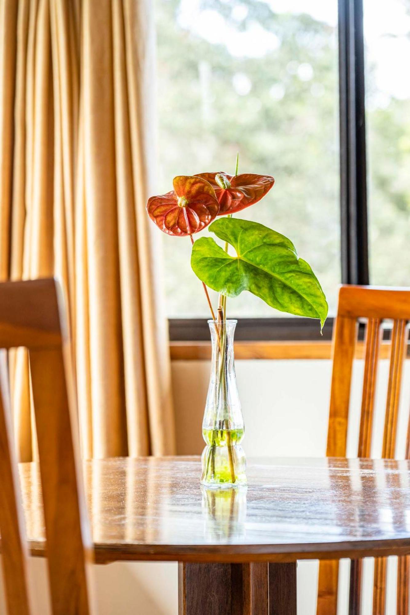 Volcano Inn Bed N Breakfast Dış mekan fotoğraf