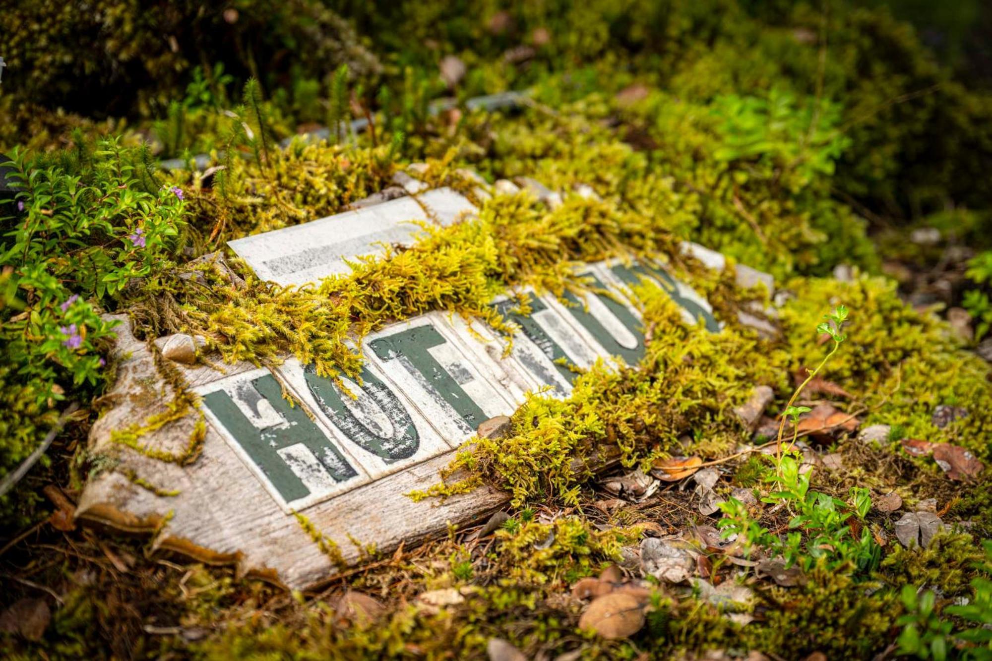 Volcano Inn Bed N Breakfast Dış mekan fotoğraf
