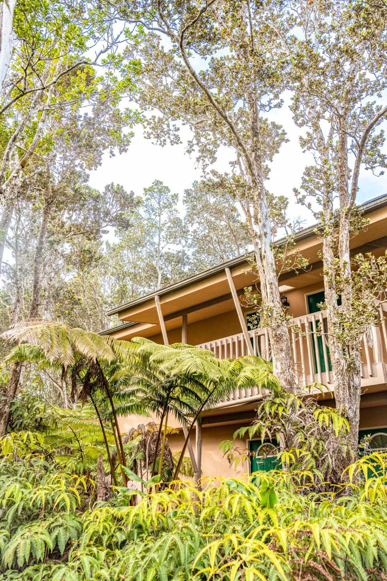 Volcano Inn Bed N Breakfast Dış mekan fotoğraf